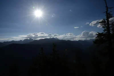 DSC_3542 (Large).JPG